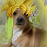 Profilbild von nothing