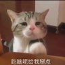 Profilbild von xiyuyvanan