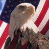 Kevin's profile picture