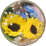 ((((にこ💗))))(にここ)🪽🍓🍮🎁🪽 profil fotoğrafı