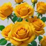 Фото профиля Pg