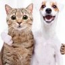 ieatpoostix's profile picture