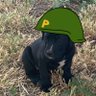 Profilbild von Doug