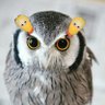 凹守フクロウ🌸🫧 🎧💙✴︎☁☪️🎣🐾☘️ profil fotoğrafı