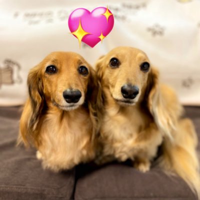 RacerVtec's profile picture