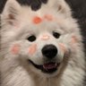 🫶🏻🩷🤍's profile picture