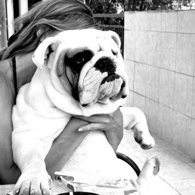 sanja_sa's profile picture