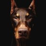 Jason's profile picture