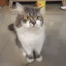 Ben5us profil fotoğrafı