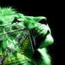 🇳🇬🔪 profil fotoğrafı