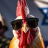 Profilbild von rjayc