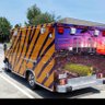 Фото профиля World Famous LSU Fanbulance!