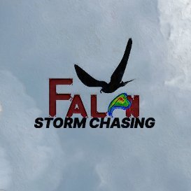 Falcon Storm Chasing's profile picture