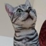 Profilbild von Yubah