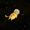 Megan Manns's profile picture