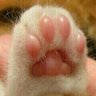 疲れたおじじ🍠🎤🎖💕💉🎖🐥🎖🍮🎖🐻❄️🎖🦊🟢🎖🐱🎖🦁 profil fotoğrafı