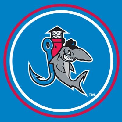 Jupiter Hammerheads's profile picture