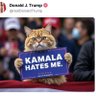 Cultura da esquerda's profile picture