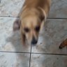 Profilbild von Jetson