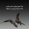 بن معيش profil fotoğrafı