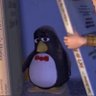 Profilbild von Tim