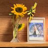 Фото профиля さら🌻´-