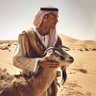 تلعب طرب profil fotoğrafı
