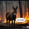 Фото профиля picanha na quentinha