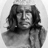 Profilbild von Mapuche Roquista