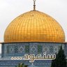 Фото профиля أبو عمر الخولي