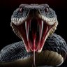 Profilbild von royaljelly333