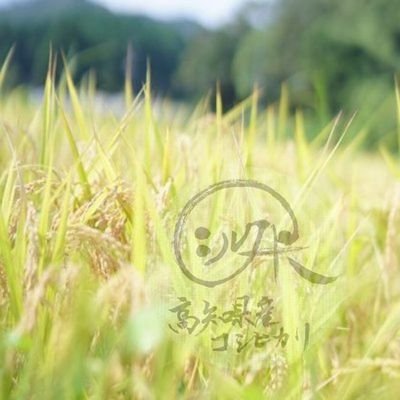é«ç¥çã®çŸå³ãããç±³ðŸç¡åã·ã«ã¯â»ã·ã«ã¯ç±³ã®äºçŽè²©å£²ã¹ã¿ãŒãâ»'s profile picture