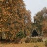 Фото профиля Gatul