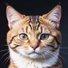 にゃんねこ's profile picture
