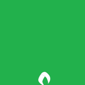 大麦's profile picture