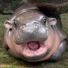 Profilbild von AlloonFX