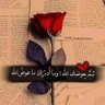توليب's profile picture