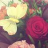 Фото профиля Pernille 🙋♀️