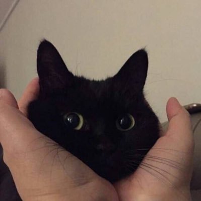 🐈⬛ 𝘉𝗹𝖺𝖼𝙠 Ⲥ𝖺t.'s profile picture
