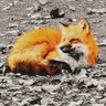 ナギー☺︎ 的头像