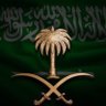 Saudi 的头像