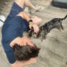 Jasonario's profile picture