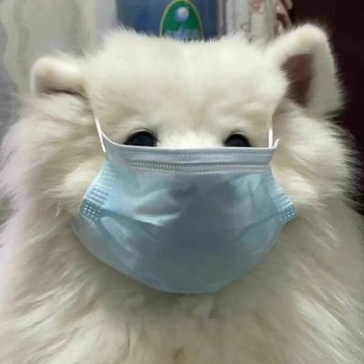 何知云's profile picture
