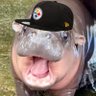 K profil fotoğrafı