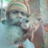 योगी अरविन्दानन्द सनातनी's profile picture