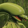 Chris Cousins's profile picture