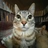qjx's profile picture