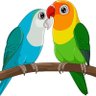 Фото профиля свободу попугаям🦜