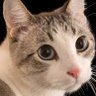 Profilbild von Bobby👉CLONE