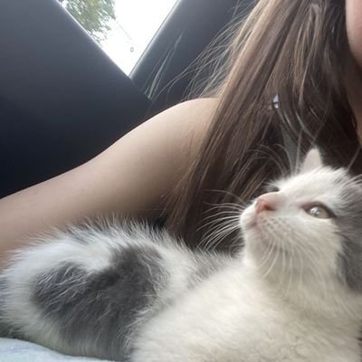 mochi 😋's profile picture